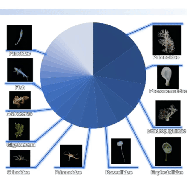 Biological Dataset Structure Example