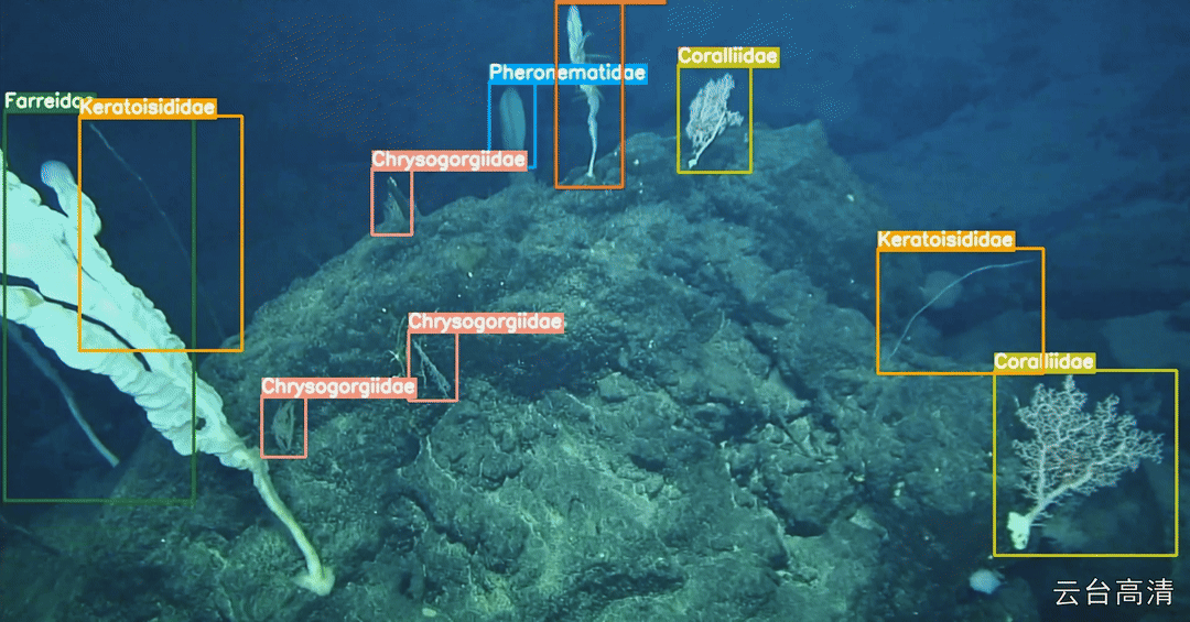 Biological Detection Model Example